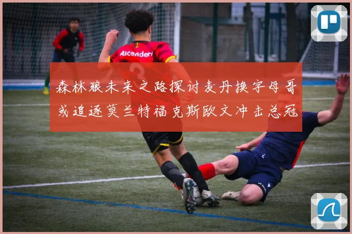 森林狼未来之路探讨麦丹换字母哥或追逐莫兰特福克斯欧文冲击总冠军